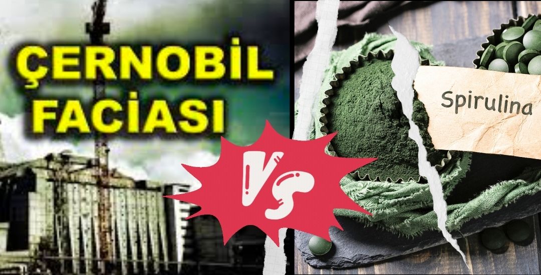 Çernobilin etkilerini yenen Spirulina
