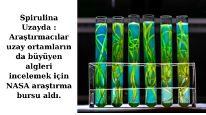 Spirulina UZAY DA.... Nasa’dan burs aldı ....